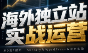 海外独立站实战运营-副业网创