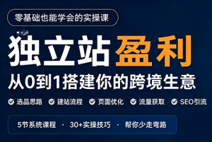 刘老师·5节课跑通独立站盈利全流程-副业网创