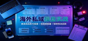海外私域操盘实战：赛道选品账号搭建，短视频跑量，销转物流回款-副业网创