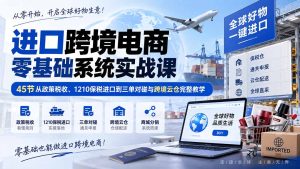 进口跨境电商零基础系统实战课：45节从政策税收、1210保税进口到三单对碰与跨境云仓完整教学-副业网创