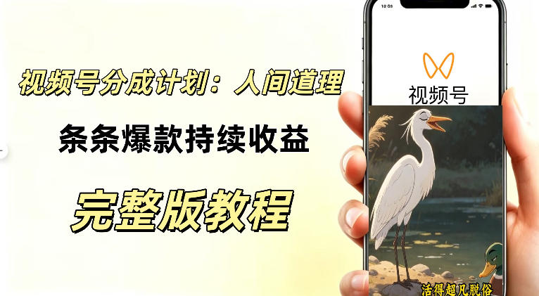 视频号新玩法之AI动漫画风励志视频，不用会画画、不用拍摄，持续化收益，详细拆解-副业网创