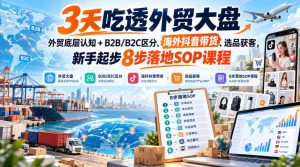 3天吃透外贸大盘，外贸底层认知+B2B/B2C区分、海外抖音带货、选品获客，新手起步8步落地SOP课程-副业网创