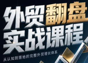 Alisa老师·外贸翻盘实战课程(更新部分)-副业网创