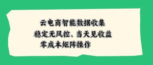 云电商智能数据收集，稳定无风控，当天见收益，零成本矩阵操作-副业网创