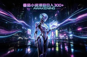 依托番茄小说官方生态，成熟长久的变现项目，零基础即可入局，打造稳定被动收益，可长期运营【揭秘】-副业网创