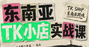 东南亚TK小店实战课(基础+进阶)-副业网创