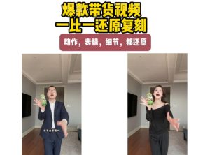 AI带货视频复刻，一比一还原加二创，动作，表情，细节，都还原，新手也能直接套用-副业网创