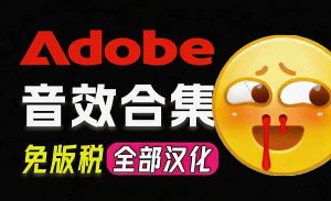 请称爆硬盘！Adobe 和 达芬奇 官方提供的高品质免版税音效库， 10000+ 免费商用音效合集，已离线打包-副业网创