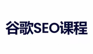 小白新君SEO·谷歌搜索引擎优化SEO教程(部分更新2026)-副业网创
