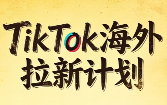 Tc联盟·TikTok海外拉新项目(更新9月)-副业网创