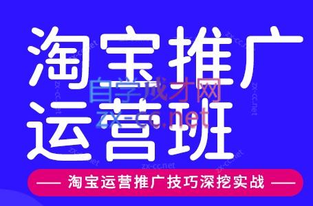 美迪电商·淘宝高级运营班+推广运营班(更新10月)-副业网赚