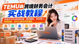TEMU跨境财务会计实战教程:系统学习平台账单处理、期初建账、凭证录入、管理费用、成本分摊及报表编制-副业网赚