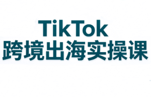 彭老师·TikTok跨境出海实操课-副业网赚
