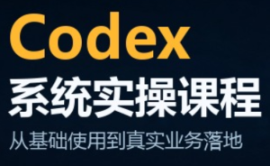 codex系统实操课程(更新10月)-副业网创