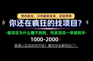 你还在疯狂的找项目？别傻了！卖项目才是真正的一本万利！怎么做，看完你全都明白！【揭秘】-副业网赚