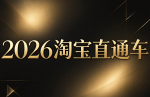 周心驰·2026淘系直通车投产19搜索5万玩法-副业网创