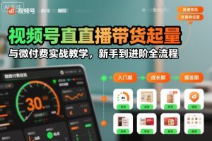 视频号直播带货起量与微付费实战教学，新手到进阶全流程(更新26年10月)-副业网创