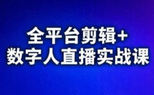 视频号、快手、抖音全平台剪辑+数字人直播实战课(更新)-副业网创