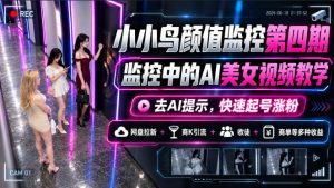 小小鸟颜值监控第四期,监控中的AI美女视频教学,去AI提示,快速起号涨粉,网盘拉新+商K引流+收徒+商单等多种收益-副业网赚