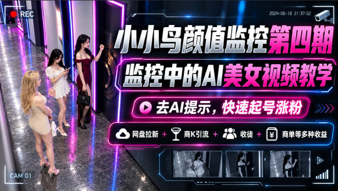 小小鸟颜值监控第四期，监控中的AI美女视频教学，去AI提示，快速起号涨粉，网盘拉新+商K引流+收徒+商单等多种收益-副业网赚