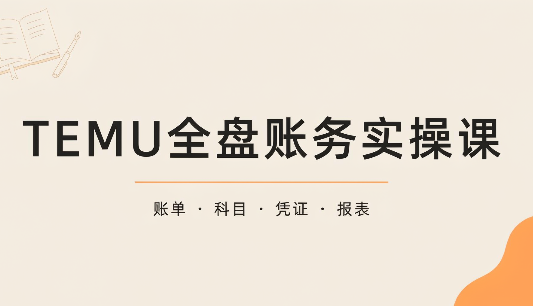 TEMU全盘账务实操课：账单导出、科目设置、利润核算-副业网赚