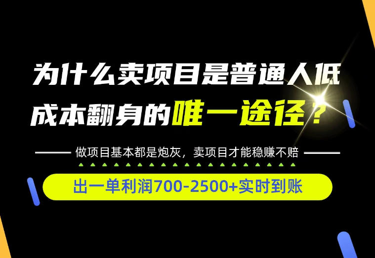 普通人如何靠互联网賺取自己的第一桶金！全类目实操型教学，看完你全都懂了！【揭秘】-副业网创