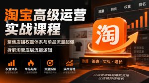 淘宝高级运营实战课程，聚焦店铺权重体系与单品流量起爆，拆解淘宝底层流量逻辑-副业网创