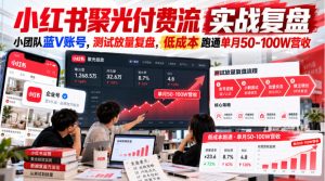 小红书聚光付费流实战复盘|小团队蓝V账号,测试放量复盘,低成本跑通单月50‑100W营收【文档】-副业网创