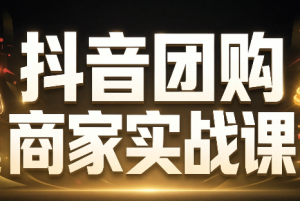 程老师·抖音团购商家实战课-副业网创