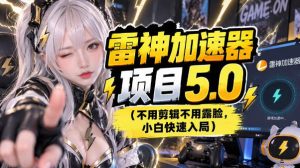 雷神项目:图文推广的完整流程,一期讲清(附避坑)-副业网赚