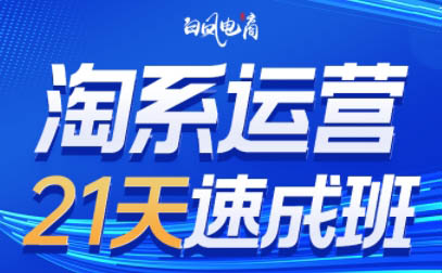 白凤电商·淘系运营21天速成班(更新10月)-副业网赚