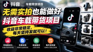 无需实拍也能做好抖音车载带货项目,收益非常稳定,每天坚持发就可以!-副业网赚