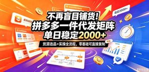 不再盲目铺货！拼多多一件代发矩阵落地攻略，提供优质货源店铺运营全流程，零基础可直接复制-副业网创