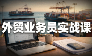 外贸业务员实战课：从拿到offer到跟单出单-副业网创