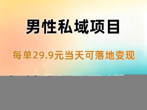 男性私域项目每单29.9，当天就能落地变现【不是S粉项目】详细拆解-副业网创