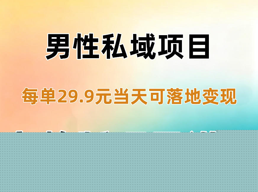 男性私域项目每单29.9，当天就能落地变现【不是S粉项目】详细拆解-副业网创