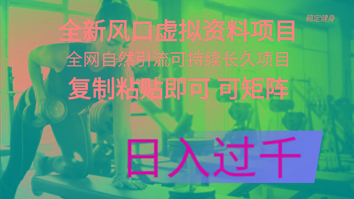 全新风口虚拟资料项目 全网自然引流可持续长久项目 复制粘贴即可可矩阵…-副业网创