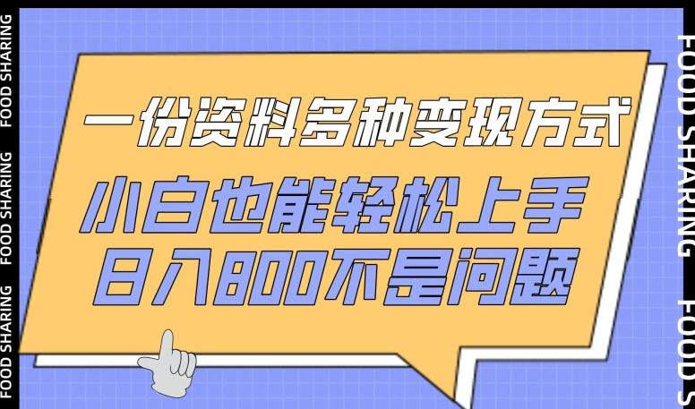 一份资料多种变现方式，小白也能轻松上手，日入800不是问题【揭秘】-副业网创