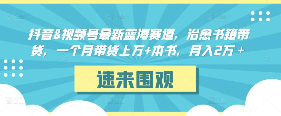 抖音&视频号最新蓝海赛道，治愈书籍带货，一个月带货上万+本书，月入2万＋【揭秘】-副业网创