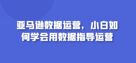 亚马逊数据运营，小白如何学会用数据指导运营-副业网创