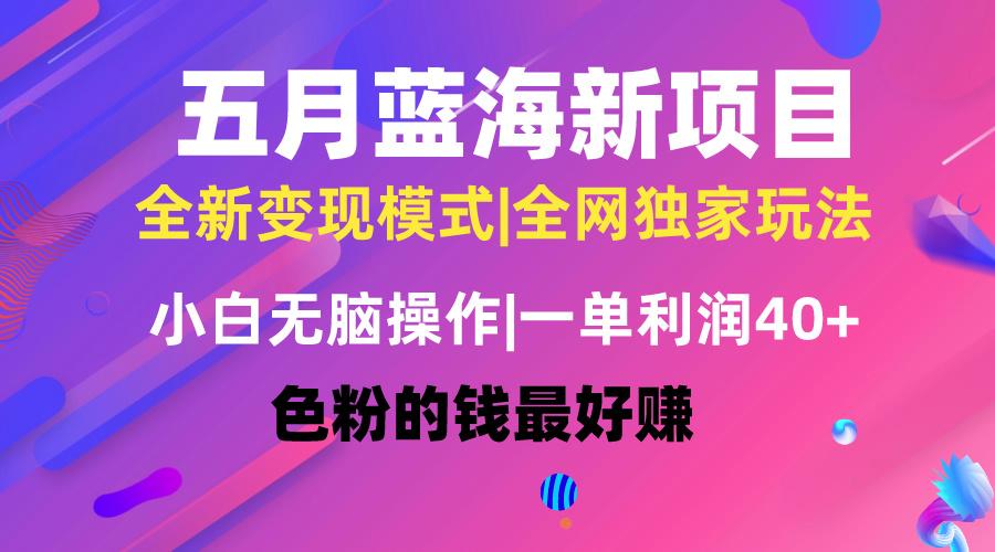 五月蓝海项目全新玩法，小白无脑操作，一天几分钟，矩阵操作，月入4万+-副业网创