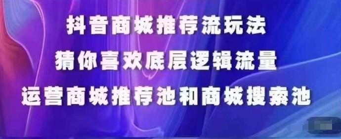 抖音商城运营课程，猜你喜欢入池商城搜索商城推荐人群标签覆盖-副业网创