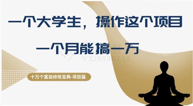 十万个富翁修炼宝典之4.一个大学生操作这个项目，一个月能搞一万-副业网创