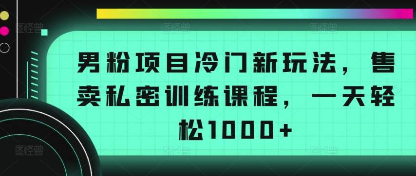 男粉项目冷门新玩法，售卖私密训练课程，一天轻松1000+【揭秘】-副业网创