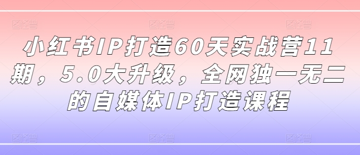 小红书IP打造60天实战营11期，5.0大升级，全网独一无二的自媒体IP打造课程-副业网创