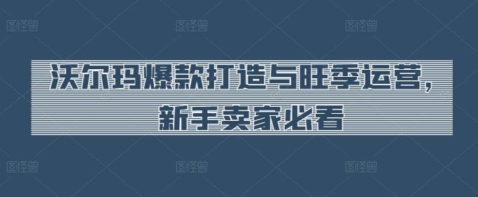 沃尔玛爆款打造与旺季运营，新手卖家必看-副业网创
