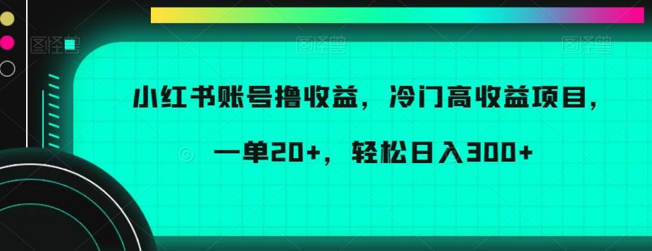 小红书账号撸收益，冷门高收益项目，一单20+，轻松日入300+【揭秘】-副业网创