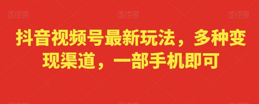 抖音视频号最新玩法，多种变现渠道，一部手机即可-副业网创