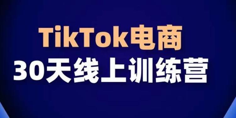 TikTok电商带货30天线上课，不可错过的全球流量洼地！-副业网创