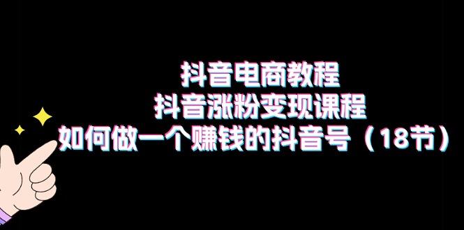 抖音电商教程：抖音涨粉变现课程：如何做一个赚钱的抖音号(18节-副业网创